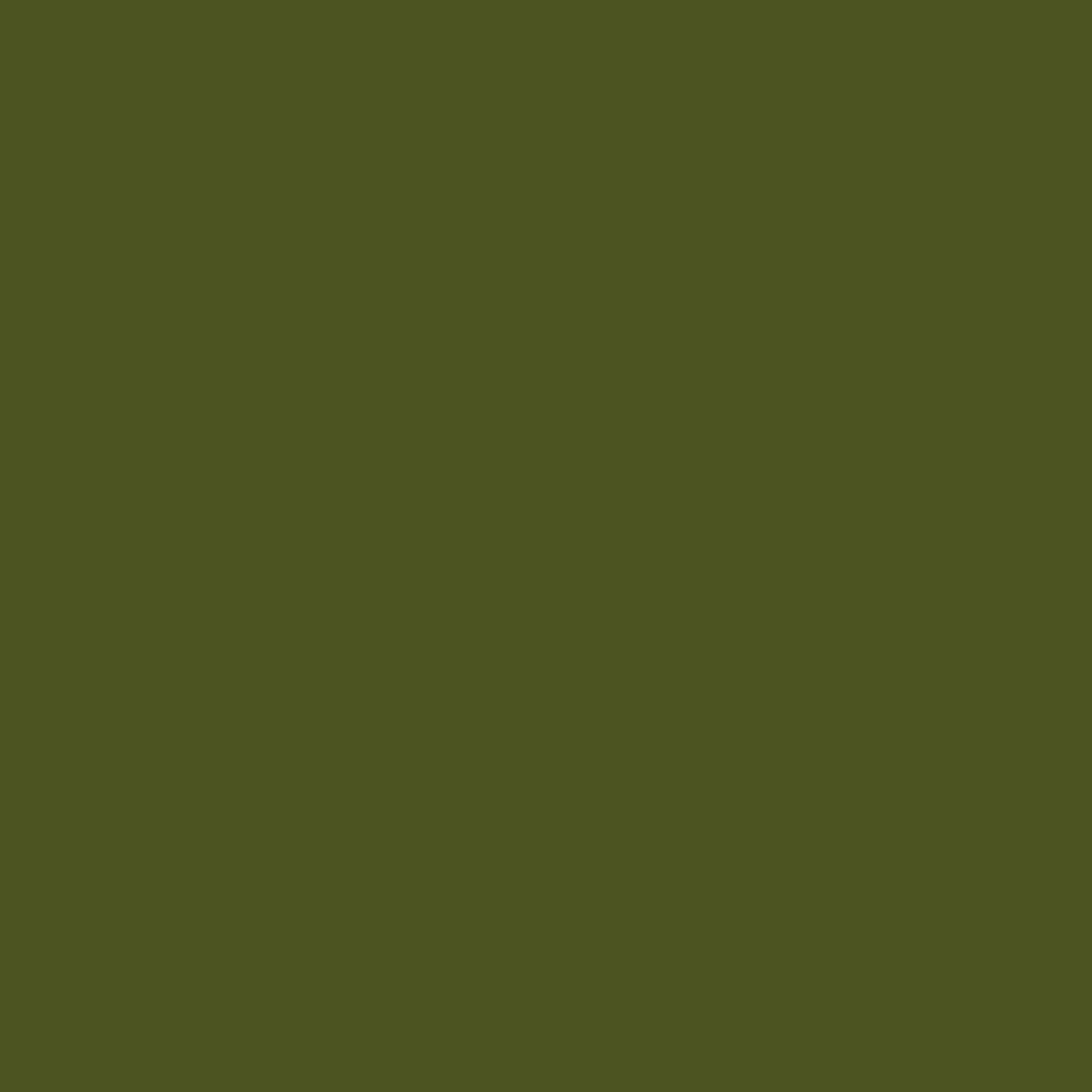 Army-green-background-image.webp